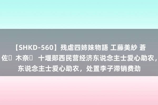 【SHKD-560】残虐四姉妹物語 工藤美紗 蒼井さくら 中谷美結 佐々木奈々 十堰郧西民营经济东说念主士爱心助农，处置李子滞销费劲