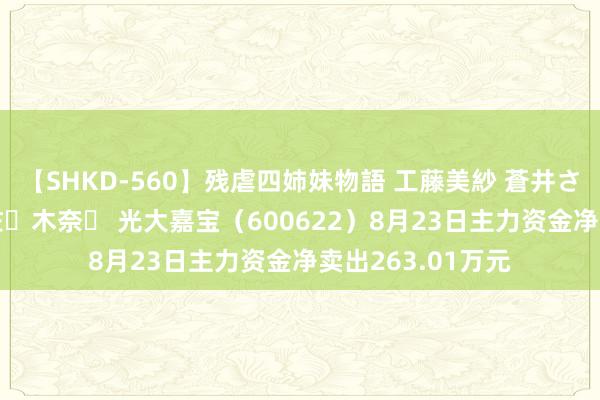 【SHKD-560】残虐四姉妹物語 工藤美紗 蒼井さくら 中谷美結 佐々木奈々 光大嘉宝（600622）8月23日主力资金净卖出263.01万元