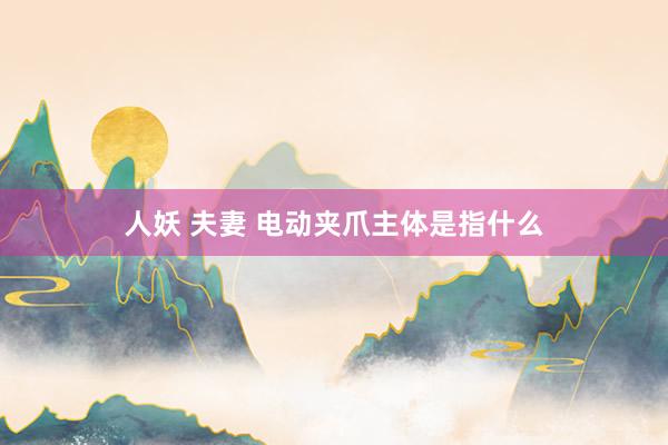 人妖 夫妻 电动夹爪主体是指什么
