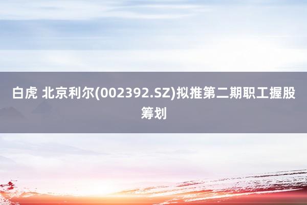 白虎 北京利尔(002392.SZ)拟推第二期职工握股筹划